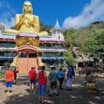 From Kandy: Minneriya Wildlife Safari and Heritage Day Tour - Detailed Breakdown of the Tour