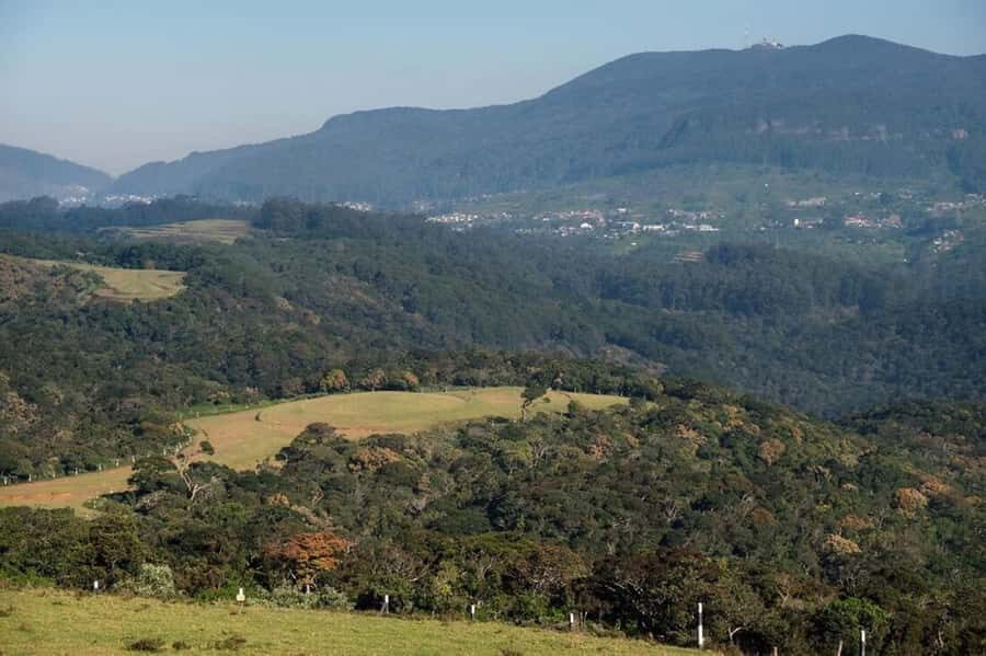 From Kandy: Moon Plains Highlands Viewpoint Experience - What Makes This Tour Stand Out