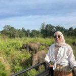 From Kandy: Sigiriya Rock & Minneriya Safari by Luxury Car - An In-Depth Look at the Experience