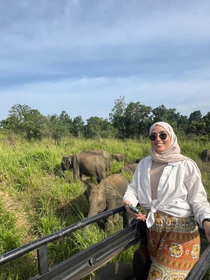 From Kandy: Sigiriya Rock & Minneriya Safari by Luxury Car - An In-Depth Look at the Experience