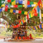 From Kathmandu: 1-Day Lumbini Tour by Airplane - The Experience in Detail