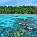 From Khao Lak: Full-Day Snorkeling in the Surin Islands - What to Expect from the Day