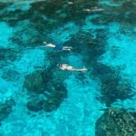 From Khao Lak & Phuket: Similan Islands Snorkeling Day Trip - Setting Out on Your Day Trip: What to Expect
