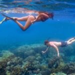 From Khao Lak: Surin Islands Day Tour with Snorkel & Lunch - Practical Details and Tips