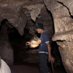 From Khao Sok: Half-Day Rainforest Trek with Local Guides - Why This Tour Works for Different Travelers