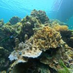 From Koh Lanta: Koh Rok and Koh Ha Day Tour-Queen of Andaman - Final Thoughts