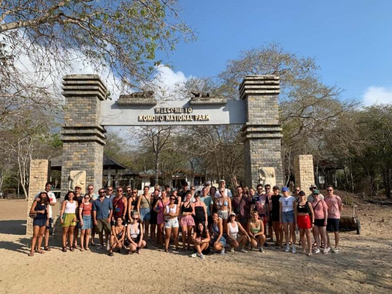 From Kopang: Komodo Island & Whale Shark Trip 4-Day Trip - Transportation & Logistics: What It Means for You