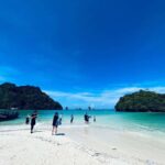 From Krabi: Phi Phi Early Bird & 4 Islands by Speedboat - Who Is This Tour Best For?