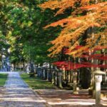 From Kyoto: Nara & Mt. Koya 1-Day Bus Tour - Practical Considerations and Tips