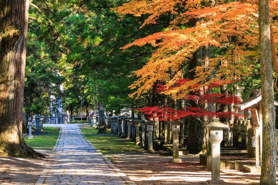 From Kyoto: Nara & Mt. Koya 1-Day Bus Tour - Practical Considerations and Tips
