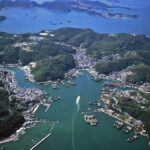 From Kyoto: Relaxing Island Exploration, Local Seafood Lunch - The Authentic Seafood Lunch