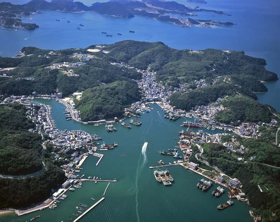 From Kyoto: Relaxing Island Exploration, Local Seafood Lunch - The Authentic Seafood Lunch