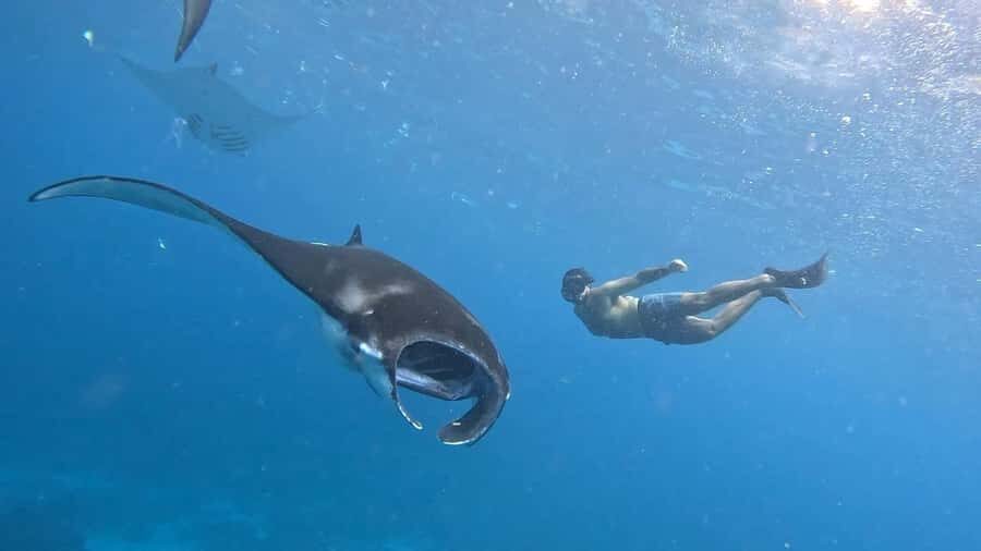 From Lembongan: Nusa Penida Private Snorkeling Tour - Detailed Breakdown of the Itinerary