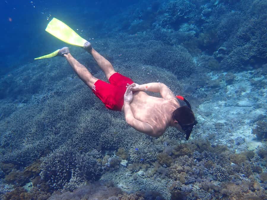 From Lembongan/Penida: Manta Point Private Snorkeling Tour - The Experience in Detail