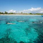 From Lombok: Gili Islands Private Snorkeling & Turtle Tour - In-Depth Analysis of the Experience