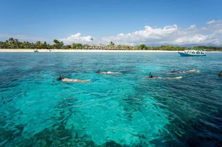 From Lombok: Gili Islands Private Snorkeling & Turtle Tour - In-Depth Analysis of the Experience