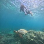 From Lombok Private Snorkeling 3 Gili All Inclusive - Detailed Breakdown of the Experience