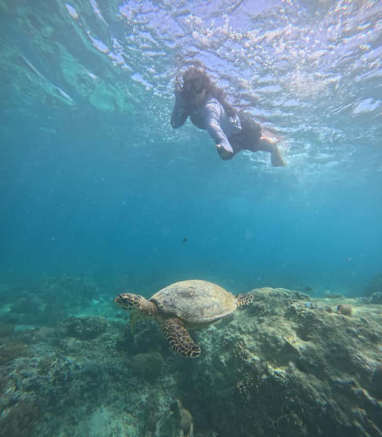 From Lombok Private Snorkeling 3 Gili All Inclusive - Detailed Breakdown of the Experience