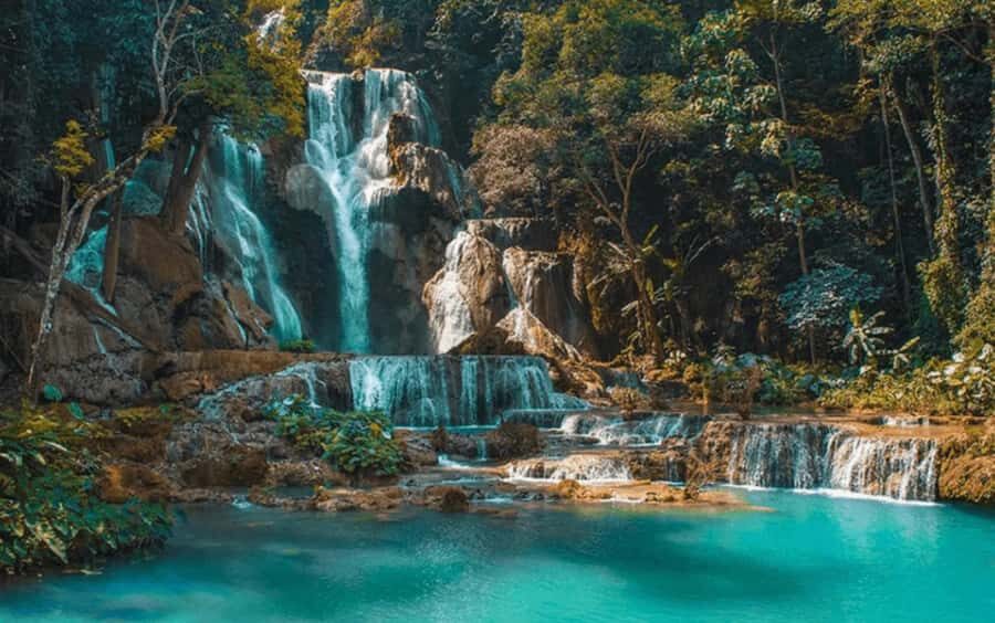 From Luang Prabang: Pak Ou Caves & Kuang Si Falls Tour - A Deep Dive into the Experience