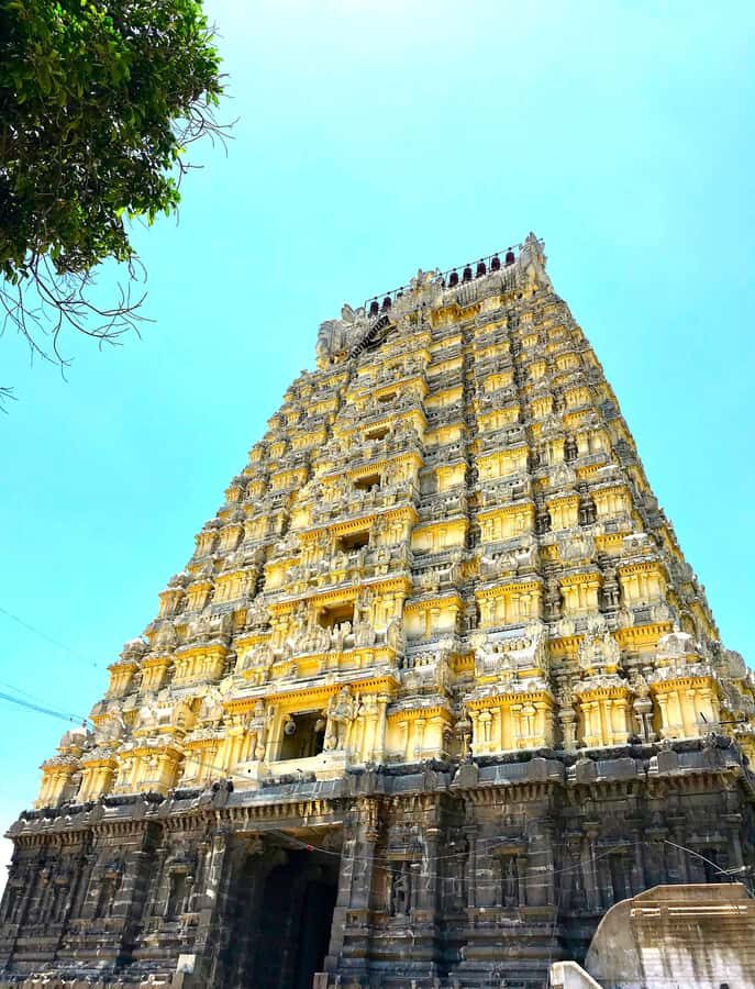 From Mahabalipuram: Kanchipuram, Thiruvanamalai & Pondi drop - Who Will Love This Tour?