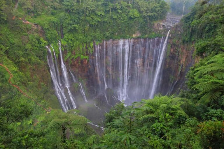 From Malang or Surabaya: Tumpak Sewu Waterfall Group Tour - What You Can Expect on This Tour