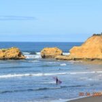 From Melbourne: Great Ocean Road Private Guided Tour by Car - What to Expect from This Tour