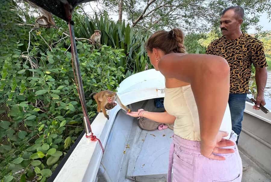 From Mirissa: Crocodile Watching River Boat Safari - What Makes This Tour Special?