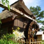 From Nagano: Mount Fuji Highlights & Hidden Landscapes Tour - Practical Aspects & What to Expect