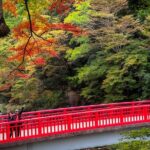 From Nagoya: Discover Aichi  Korankei, Miso, & Inari Shrine - Practical Tips for Travelers