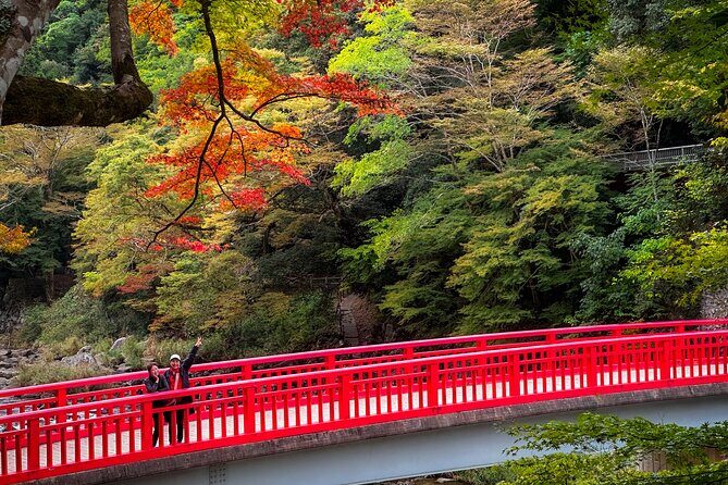 From Nagoya: Discover Aichi  Korankei, Miso, & Inari Shrine - Practical Tips for Travelers