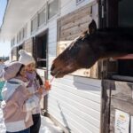 From Nagoya: Snow Day in the Japan Alps & Shirakawago - Who Would Love This Tour?
