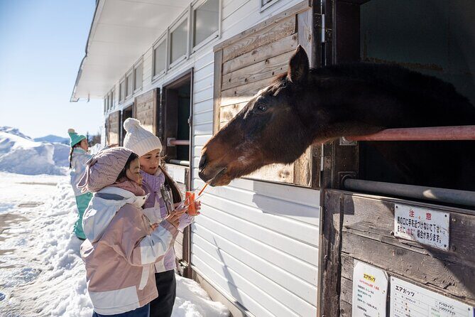 From Nagoya: Snow Day in the Japan Alps & Shirakawago - Who Would Love This Tour?