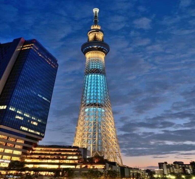 From Nagoya: Tokyo Private Scenic Tour with English Guide - Why This Tour Works Well