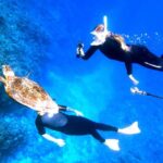From Naha:Full-Day Kerama Island Experience 1Dive/Snorkeling - Final Thoughts