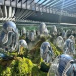 From Nikko: Tokyo Art, Architecture, and Skyline Tour - The Journey in Detail: What to Expect