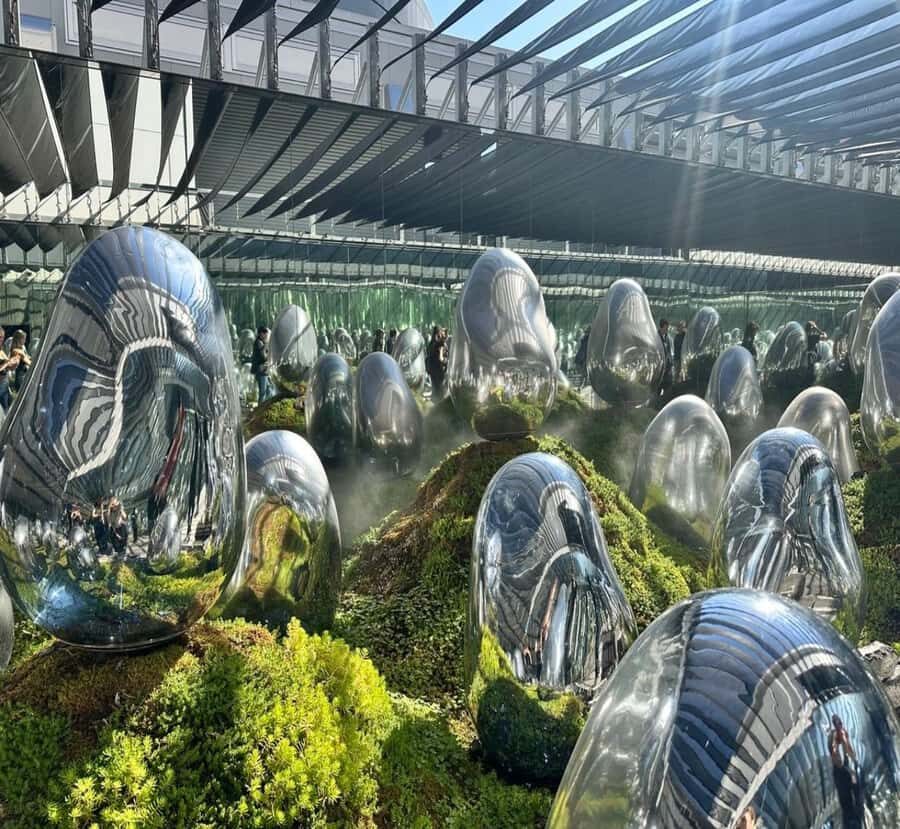 From Nikko: Tokyo Art, Architecture, and Skyline Tour - The Journey in Detail: What to Expect