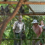 From Ninh Binh to Cuc Phuong National Park, Trekking and Jungle - Authentic Guide Experience