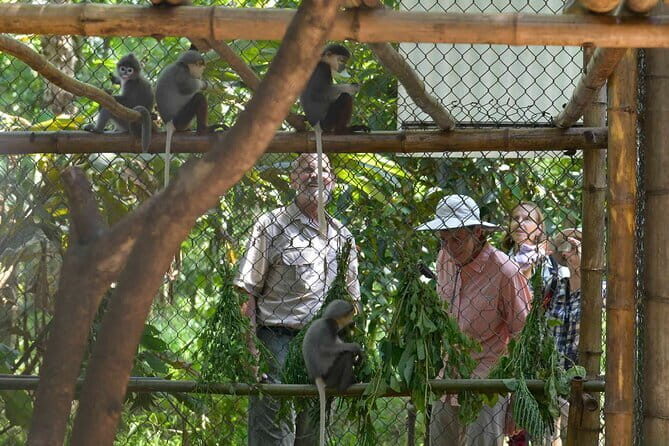 From Ninh Binh to Cuc Phuong National Park, Trekking and Jungle - Authentic Guide Experience