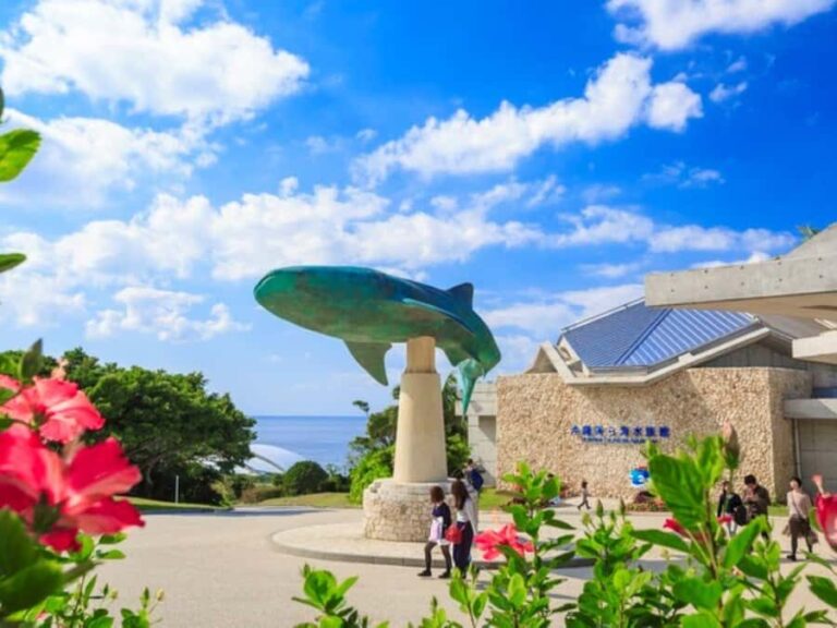 From Okinawa: Churaumi Aquarium & Cape Manzamo 1-Day Tour - What Travelers Say