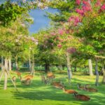 From Osaka/Kyoto: Arashiyama, Nara Park & Fushimi Inari Tour - Starting Points and Convenience