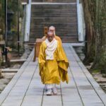 From Osaka/Kyoto: Mt. Koya & Nachi Falls Private Day Trip - The Sum Up