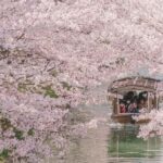 From Osaka: Kyoto Temples, Shrines & Cherry Blossom Day Trip - Key Points to Remember