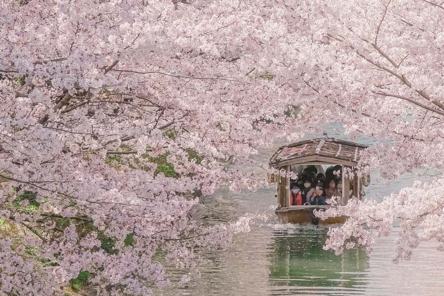 From Osaka: Kyoto Temples, Shrines & Cherry Blossom Day Trip - Key Points to Remember