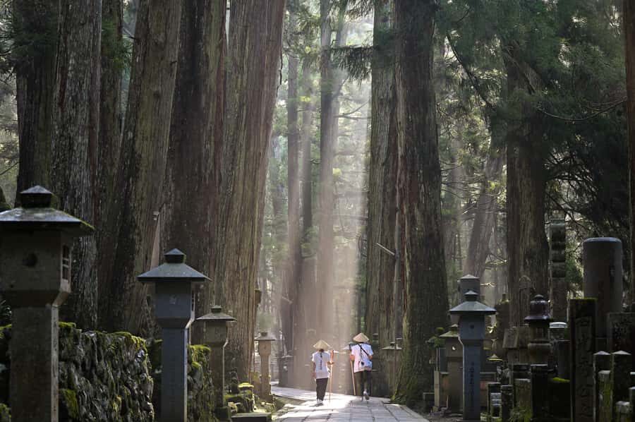 From Osaka/kyotoKoyasan Meditation Private Day Trip - Sacred Explorations: Danjo Garan and Reihokan Museum