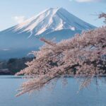 From Osaka: Mount Fuji Private Scenic Tour with Hotel Pickup - Who Is This Tour Best For?