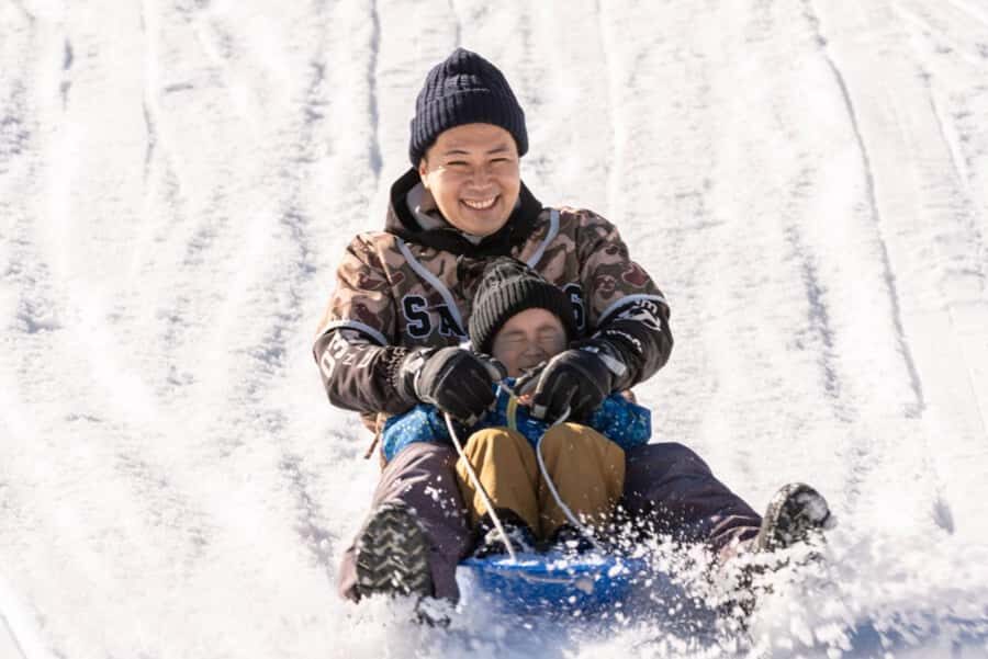 From Osaka: Mt. Rokko Snow, Crab Buffet & Strawberry Picking - A Practical Guide to the Tour Experience
