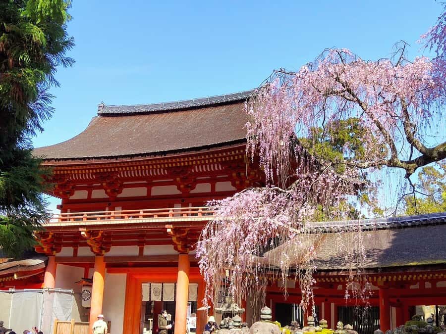 From Osaka: Nara 6 World Heritage Sites Day Tour with Guide - Who should book this tour?