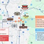 From Osaka: Nara Private Customizable Day Tour - Who Will Love This Tour?