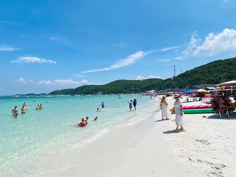 From Pattaya: Coral Island Sea Adventure Trip - The Value of the Experience