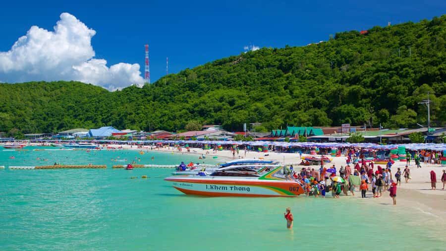 From Pattaya: Koh Larn Full-day Tour with Water Activities - Practical Details and Value